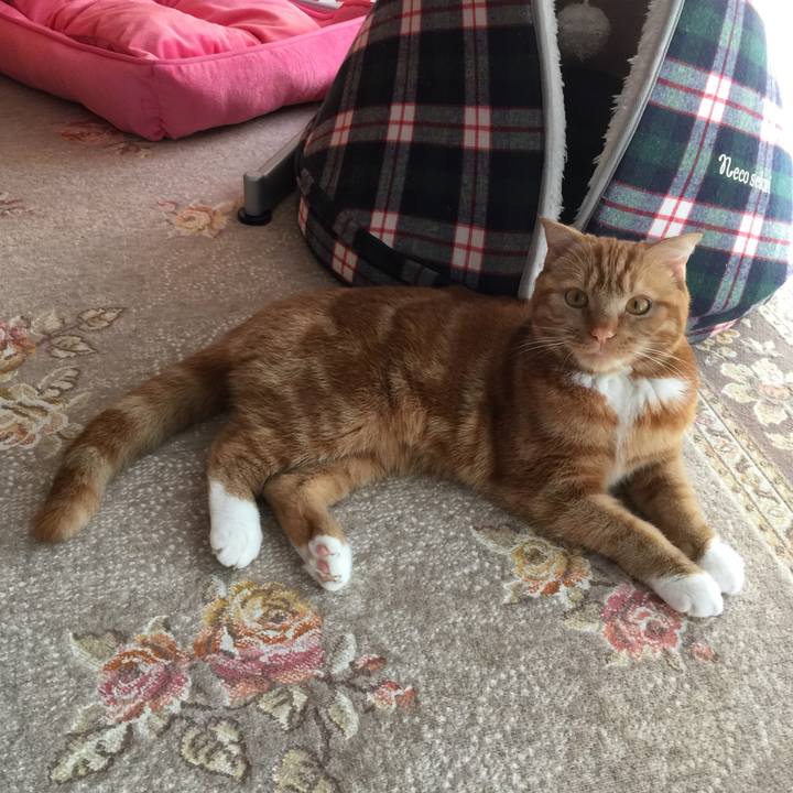 D0dcbee3 1aff 4488 9ee7 c38062102b74 1521332674780