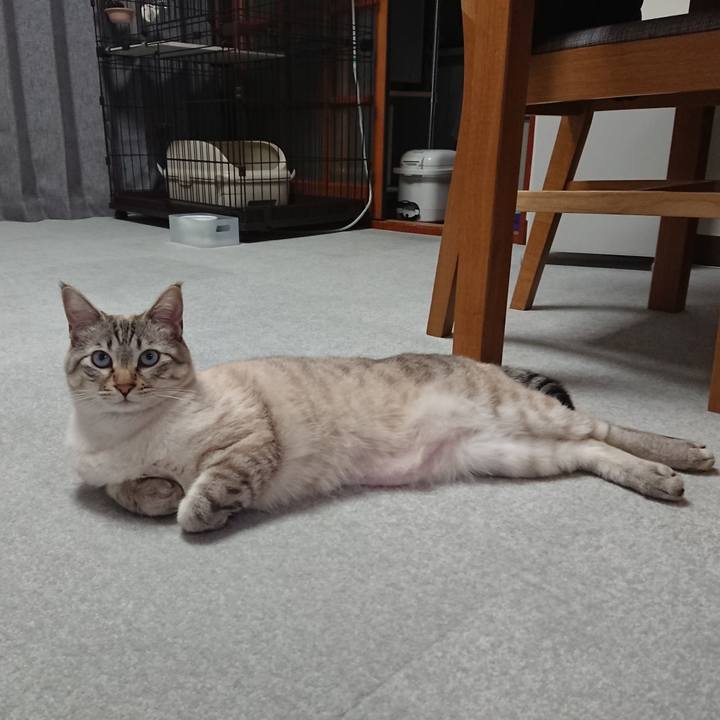 D0dcd97a 60a8 4be1 b2a8 f95ecc631175 1522315174265