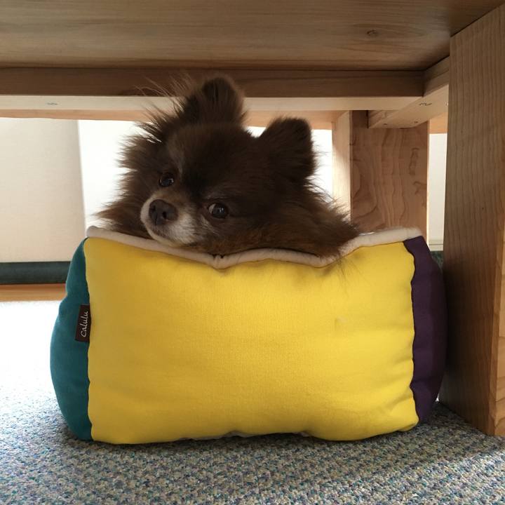 D0dd0596 50bf 4b3e bdfc ad5b2ef7f600 1522822604215