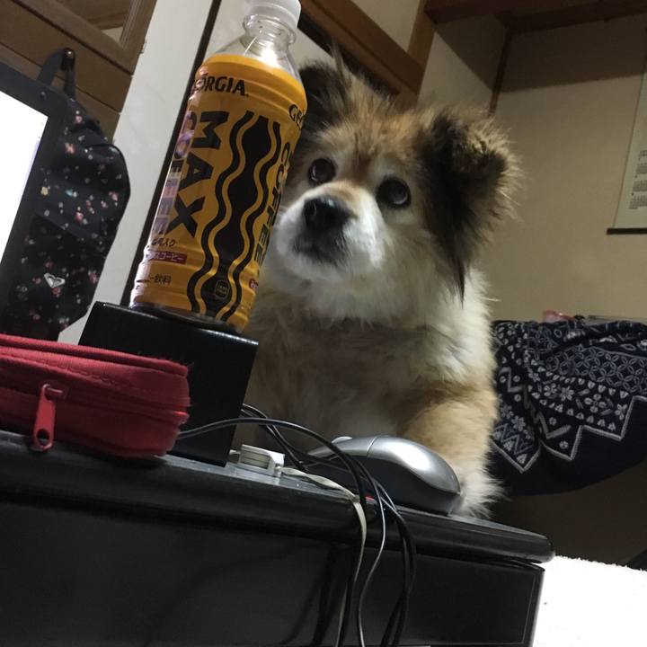 D0dd36dc 9fd8 4363 8f0d 69f49cc1d74c 1553058013582