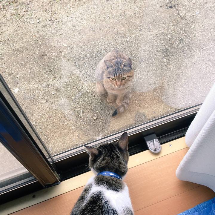 D0dd36f8 886e 405d 9179 3984a880a714 1508807297202