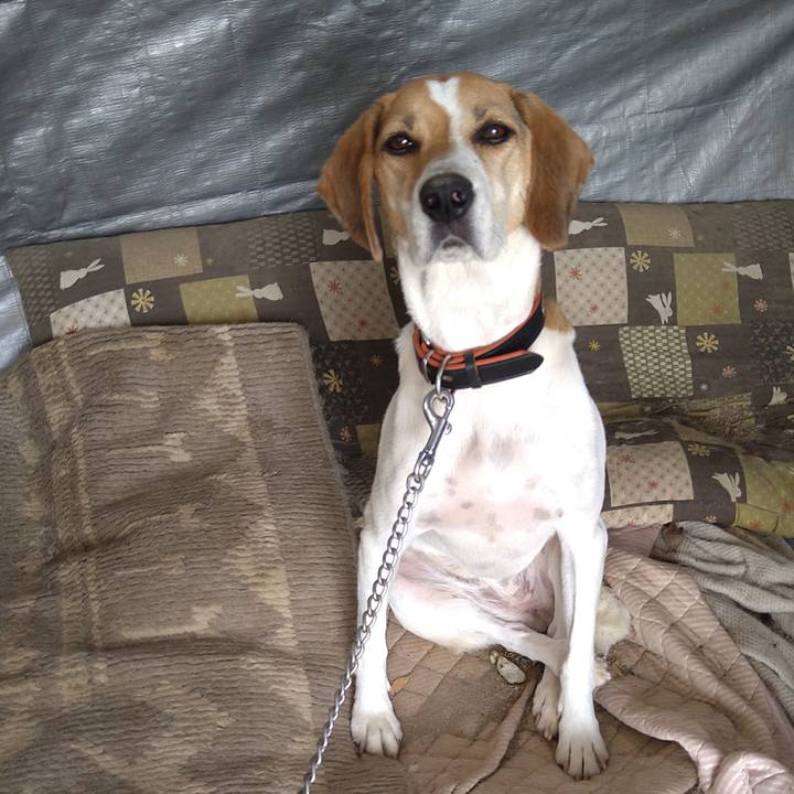 D0dd80bf 4855 4614 9d15 21257162b8b0 1629951421822