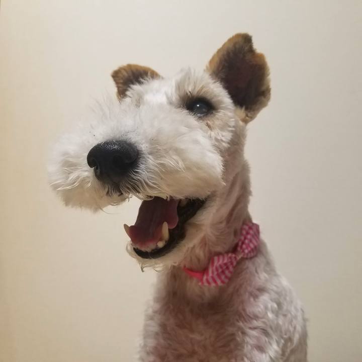 D0dd85dc b52a 4757 b28c 95abdbdc86d0 1590917733877