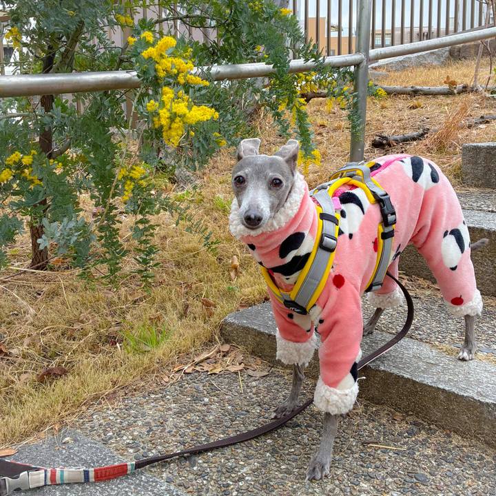 D0dd8cc1 bfd5 4f1e b696 f3d85c628e91 1773923947930