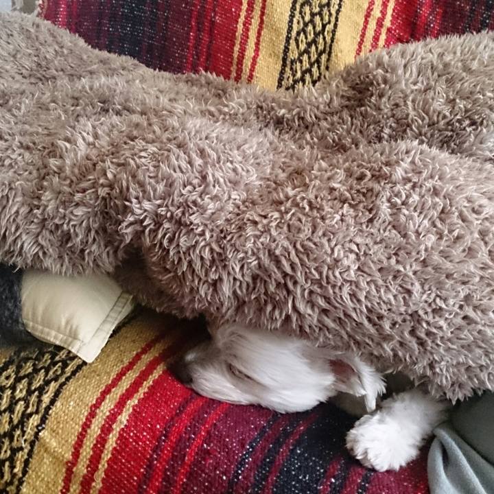 D0ddb8f7 c7d1 4b84 a495 5df4e1302db9 1522728569910