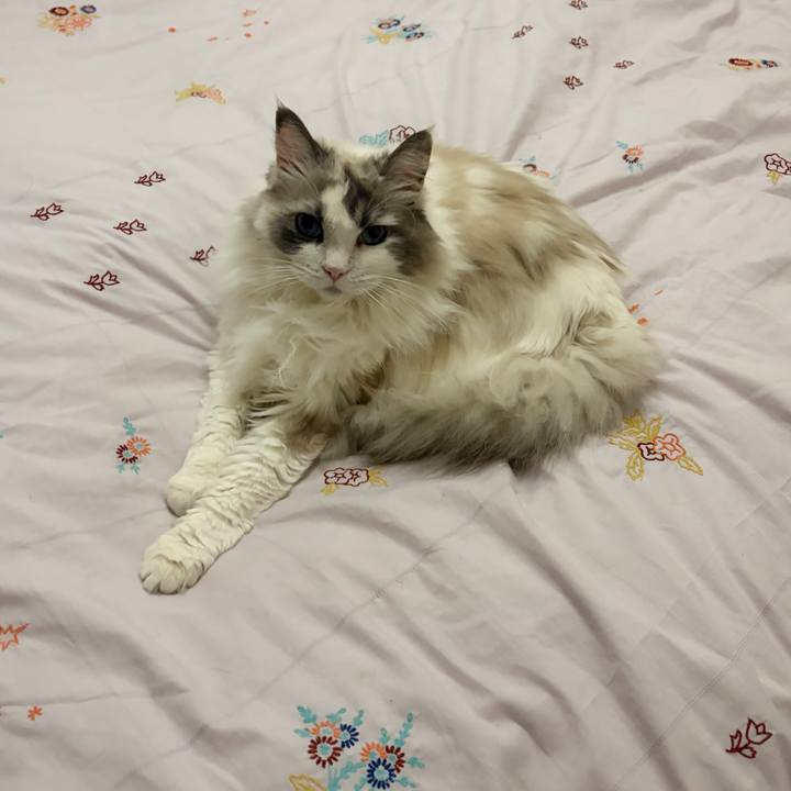 D0ddc772 3f38 40a7 9cac cdeabfc13639 1771844648941