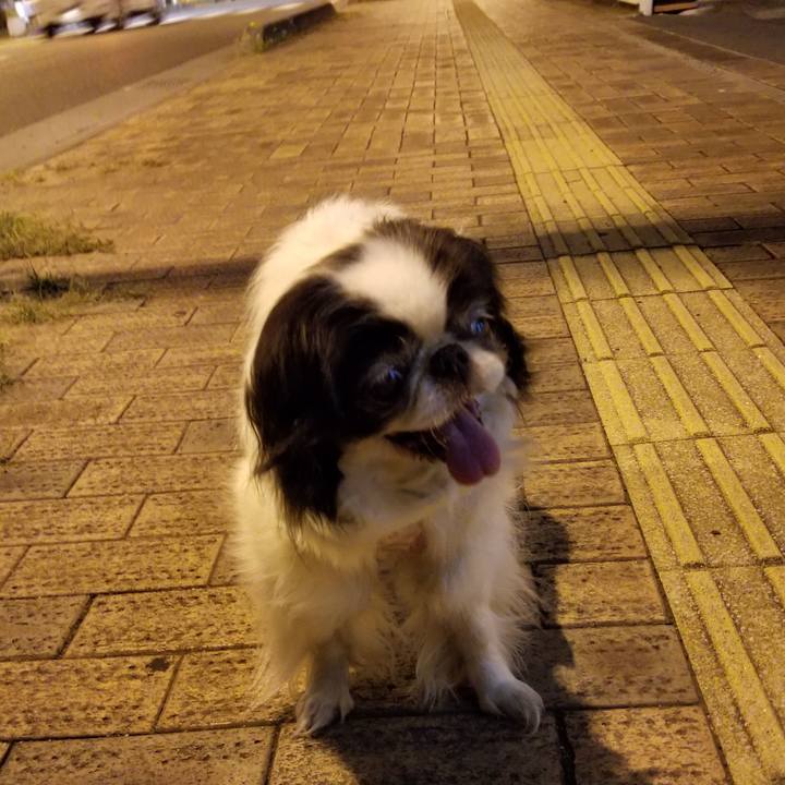 D0dddcf6 caca 44b5 8f6d a6019e53dc6a 1533121548994