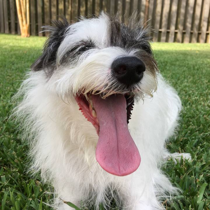 D0dde71c 3e13 4895 a658 d882f8bc8df7 1565007434016