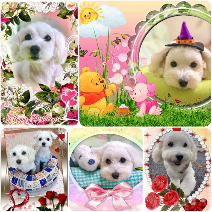 D0ddfd6a e0a7 49d6 ab1d c0c0e2a63dcc 1589588791957