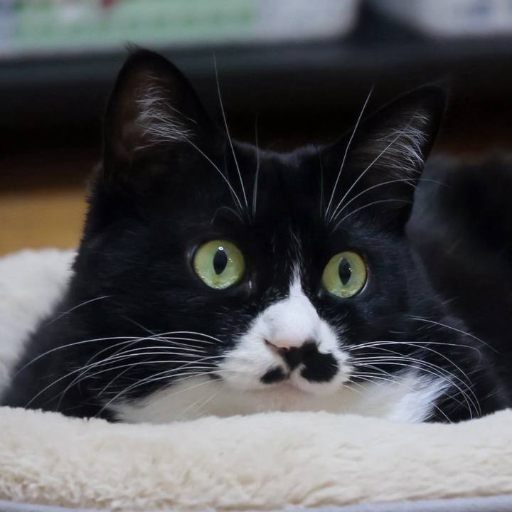 D0de05f8 7305 4b43 a927 8a7bb7657296 1768649207732