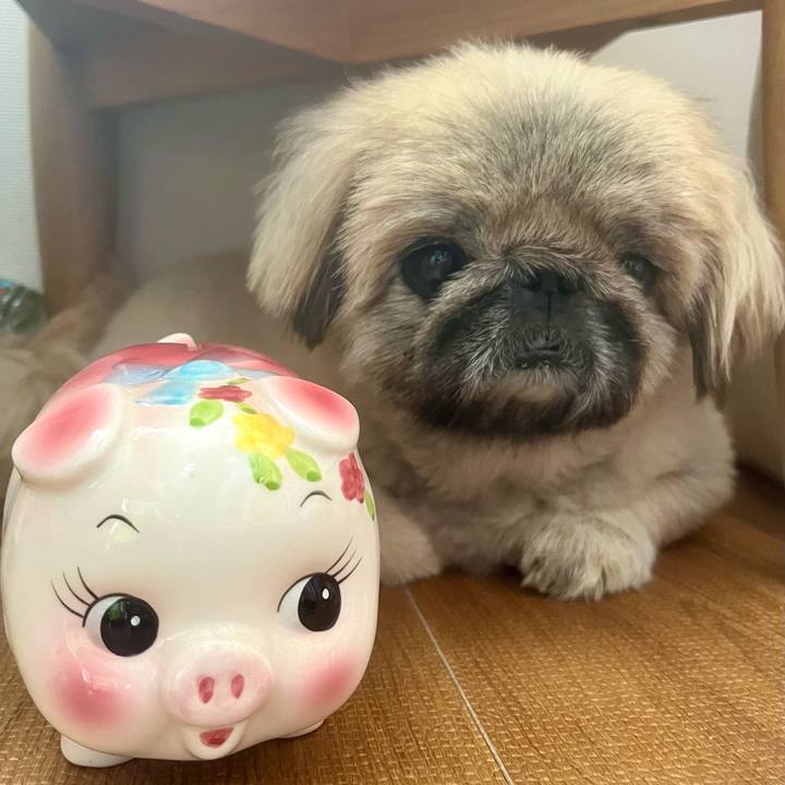 D0de34fa 2c49 44da b89d 320b7e11d75c 1717467809346