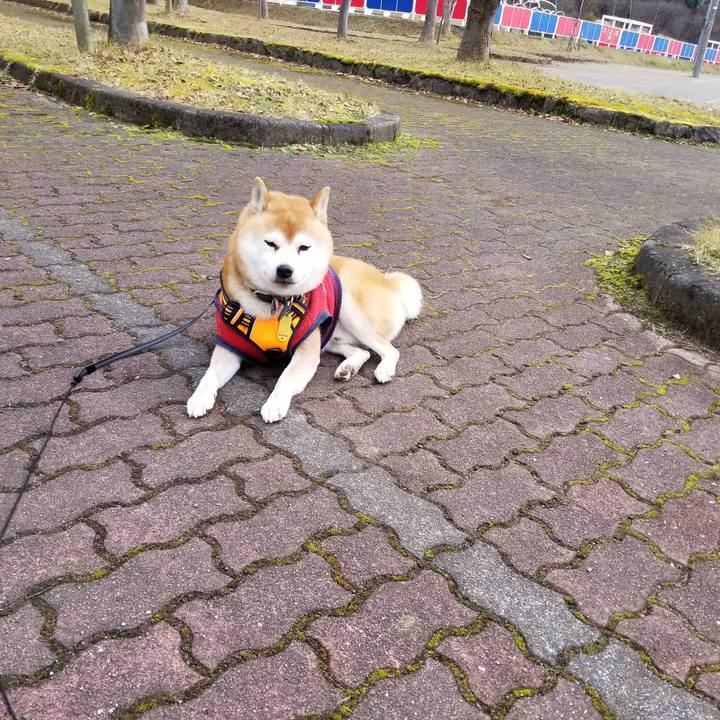 D0de3aac f623 417c a8bf 560b1148392b 1606798784000