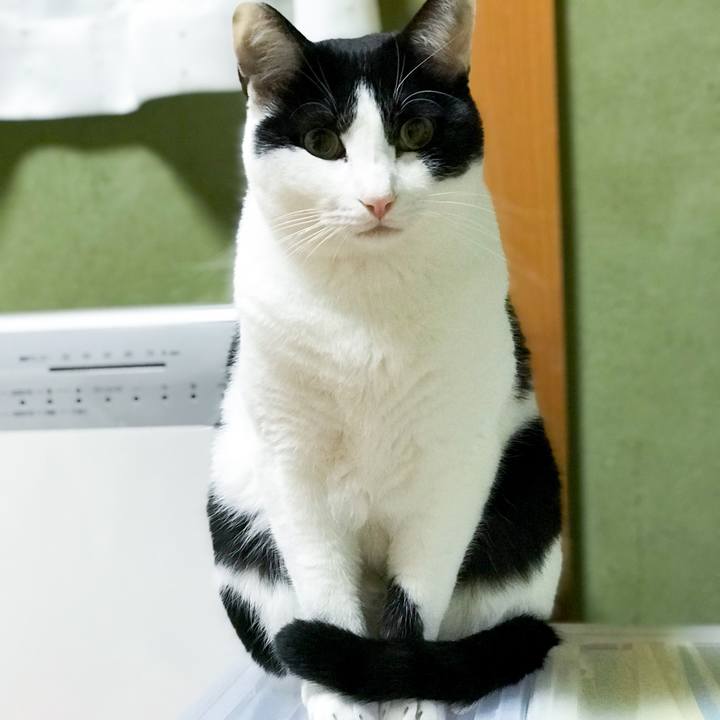 D0de3f51 9a7d 46f6 a725 ac371001d56e 1512279209016