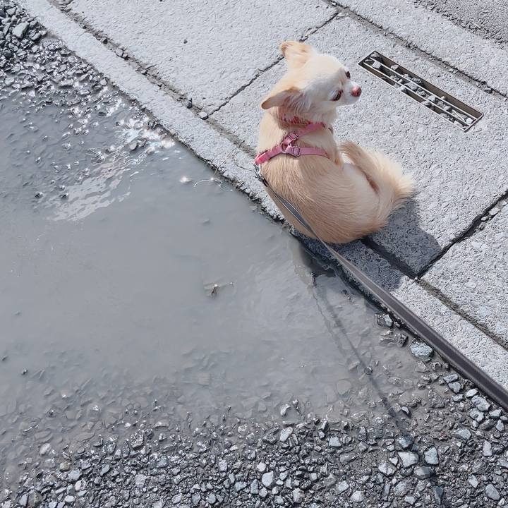 D0de4c51 ed01 4574 8e91 58197f520e4f 1761566421602