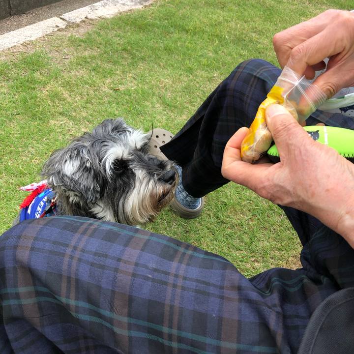 D0de96ec 93e5 4f5c abd2 71c970e5b434 1622367852720