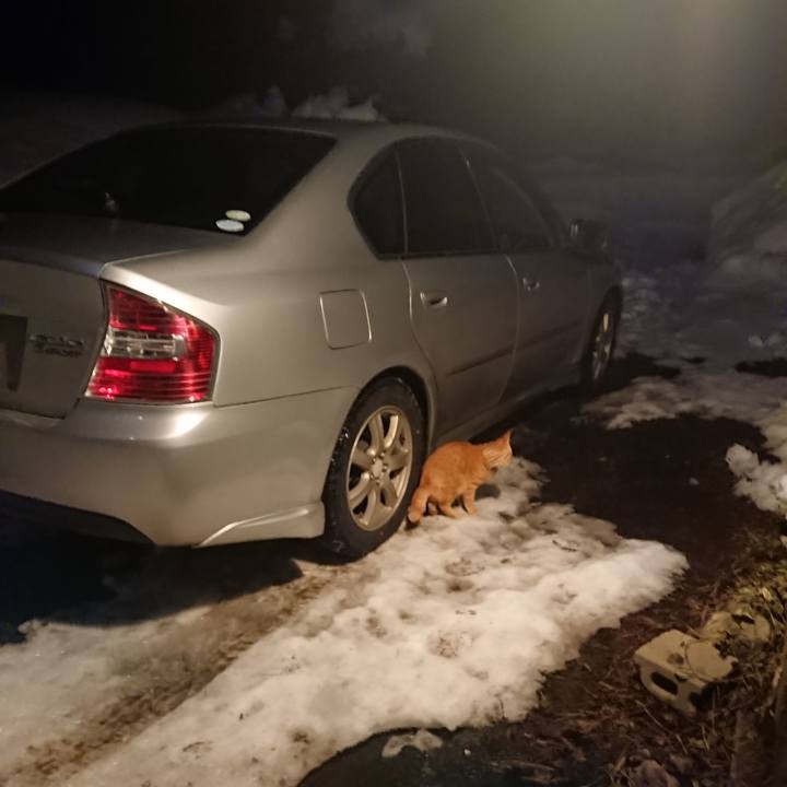 D0dee773 6f1e 47ba 9eef 7ecd88fc6602 1644834049763