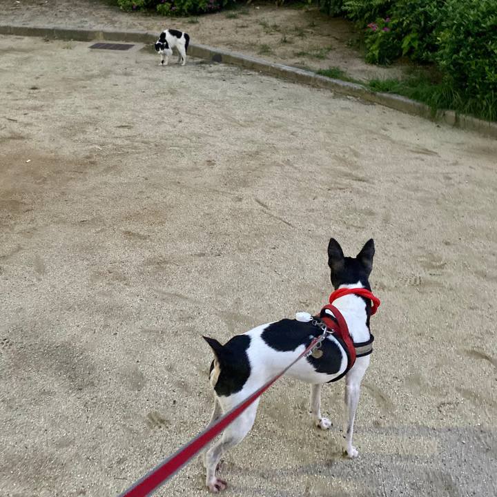 D0dee88c 9663 4e46 8e1c 97cb8ee02820 1594817137905