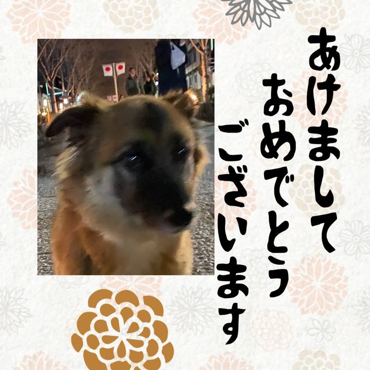 D0df02f6 7ce0 41db a5df ef887a3f3eda 1767205152015