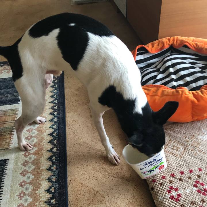 D0df1675 90cb 4216 b571 bc1765c384ad 1548977261445