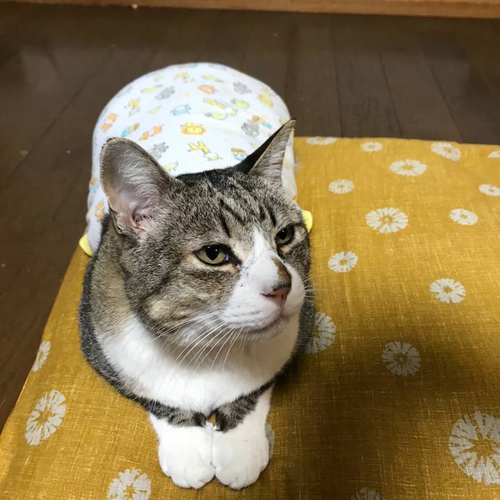 D0df1d52 4f55 4eda a363 4c3a7f720ea4 1516004416801