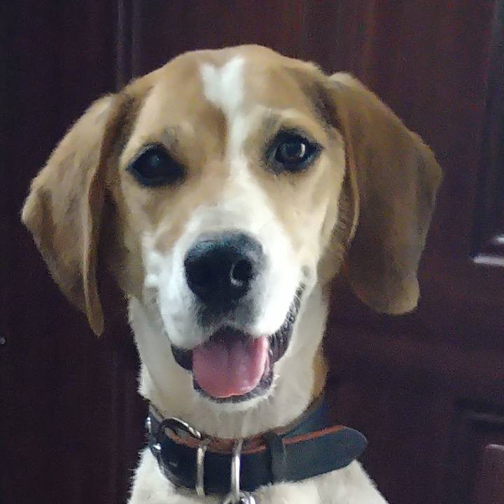 D0df22f8 2f00 486b a239 5d2520cfd071 1661857116960