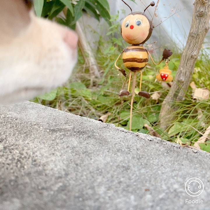 D0df27e2 eeee 409e a246 fc192a04ad93 1607334840757