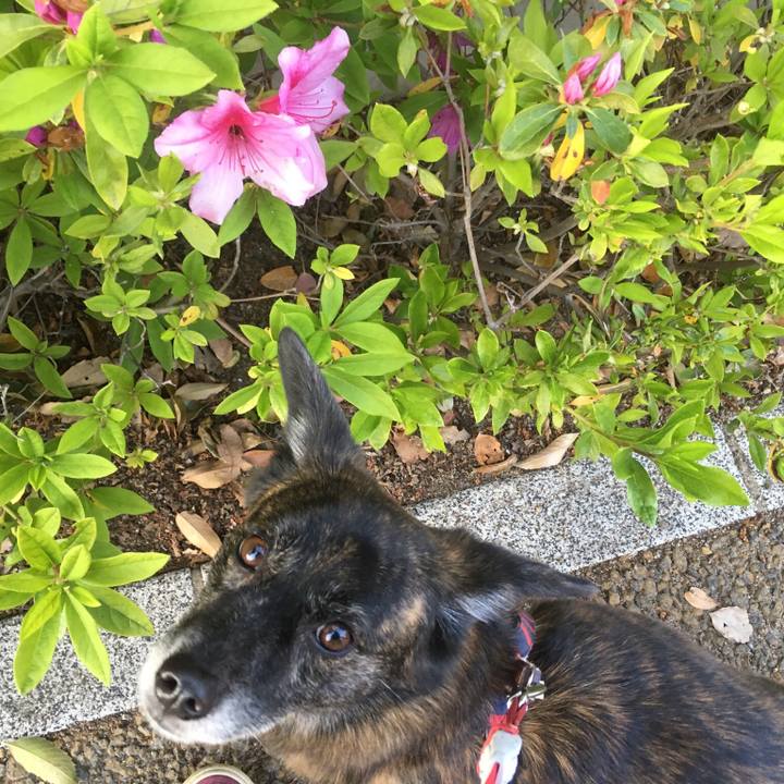 D0df3d3d b02e 445a 8cb3 ecb0aeeab64d 1555341280972