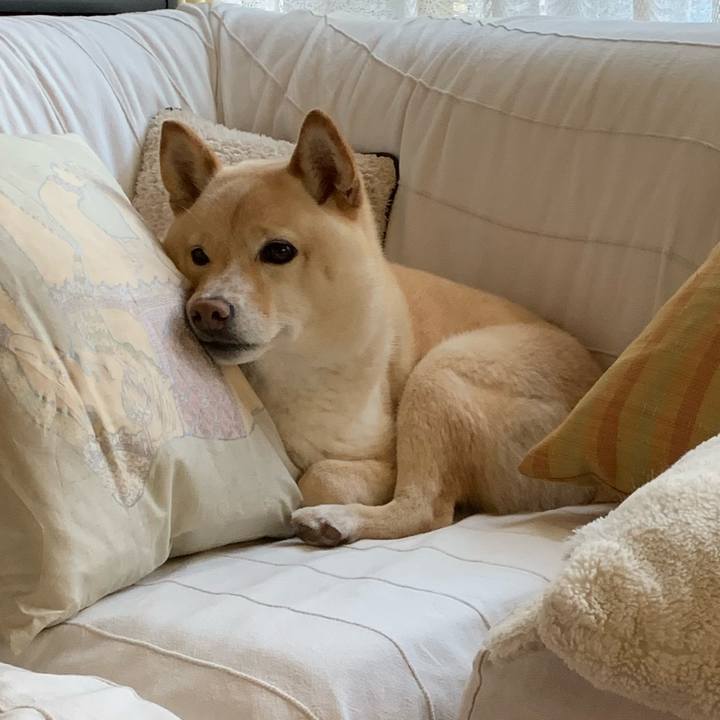 D0df63b5 70d2 413c a5a5 645584b0d1b2 1621745860040