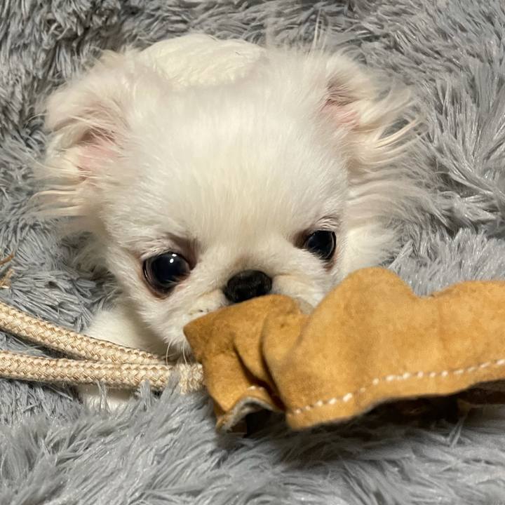 D0df7530 2846 4cce a4f4 533aa5bbfbac 1635469242159