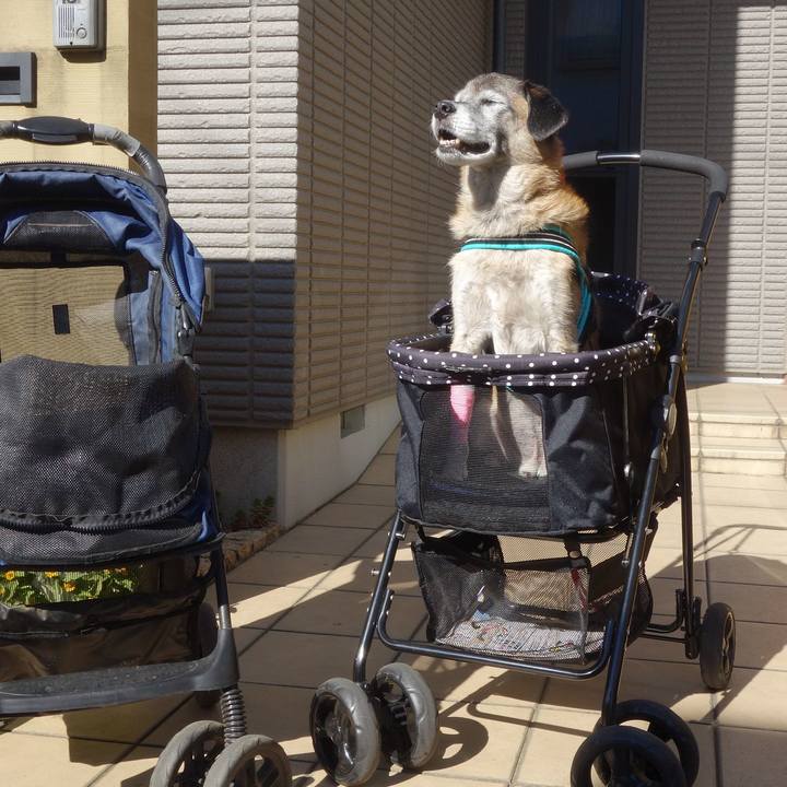 D0df8255 96c0 4e5b ba28 2d63b37d6391 1573020011918