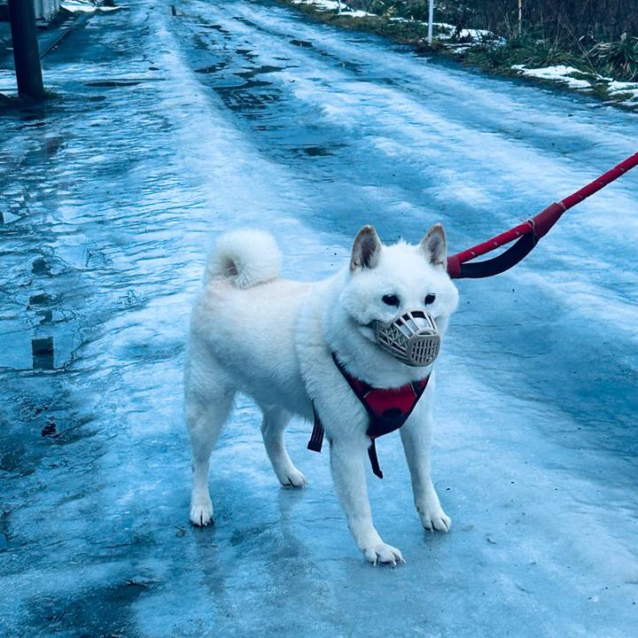 D0df983b 82cd 41d0 a3ca 26412ca8c1e3 1701900563565