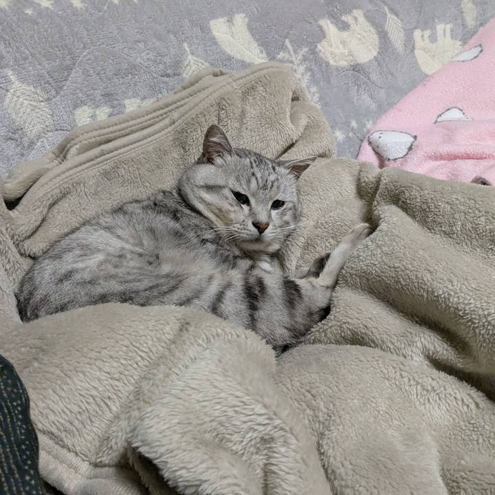 D0dfa338 1c5a 439d b6c9 2a5ca62cc560 1762874131628