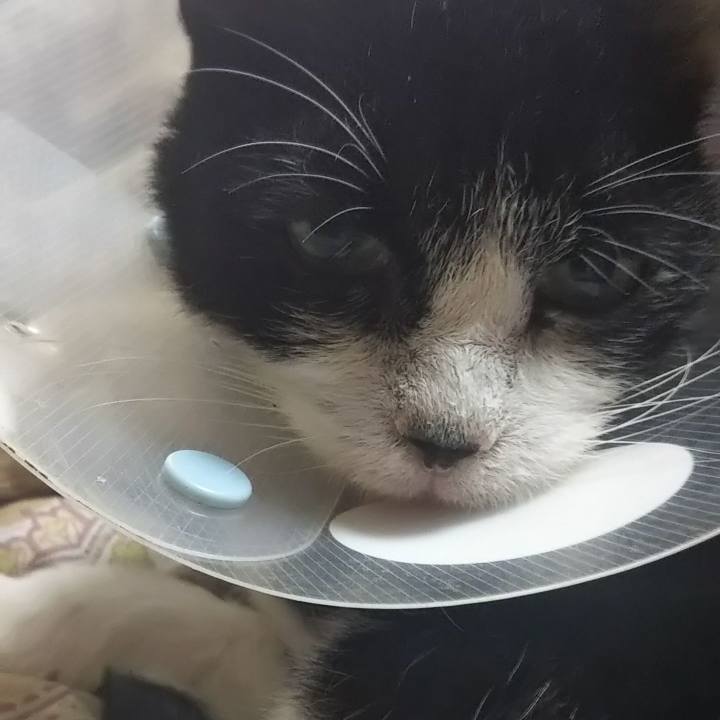 D0dfd653 ec3d 4390 8e4f a3b4eddcbbef 1604915944160