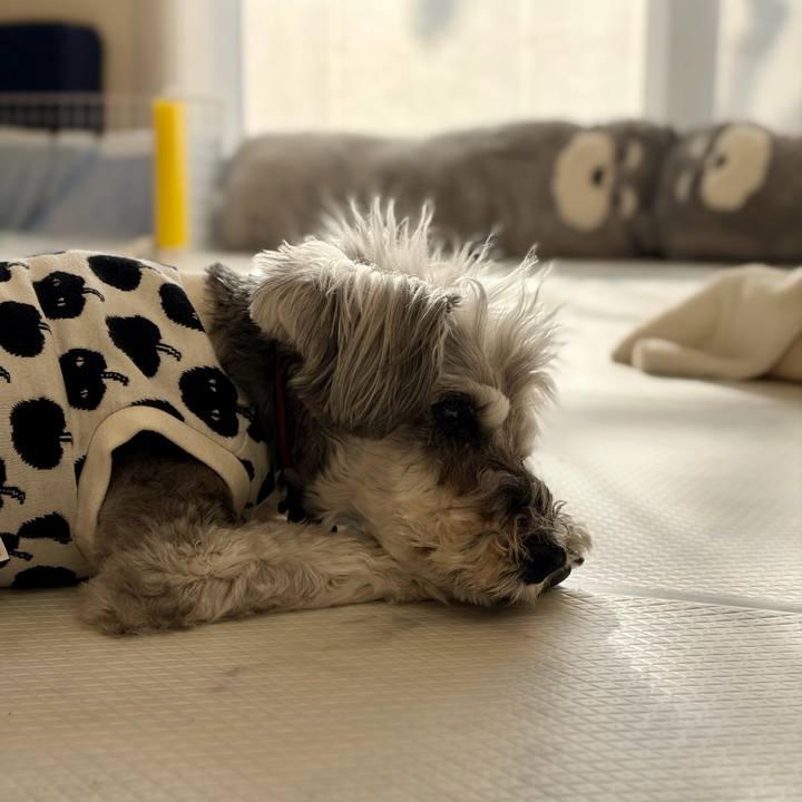 D0dff82d c5b6 4561 806d eeb7cee9364f 1770361184401