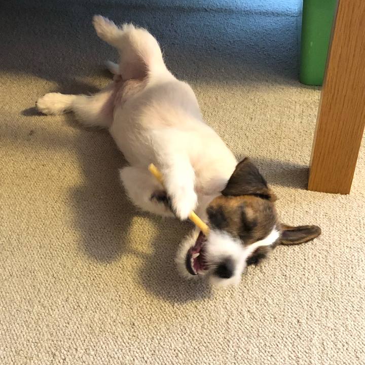 D0e010d7 d1e9 4c1e bdc9 194c065f71ba 1583294205864