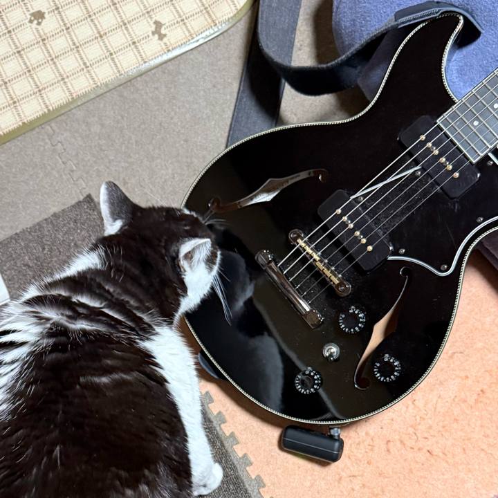 D0e01a0c 8dd4 4124 8614 c85a22852230 1774488841278