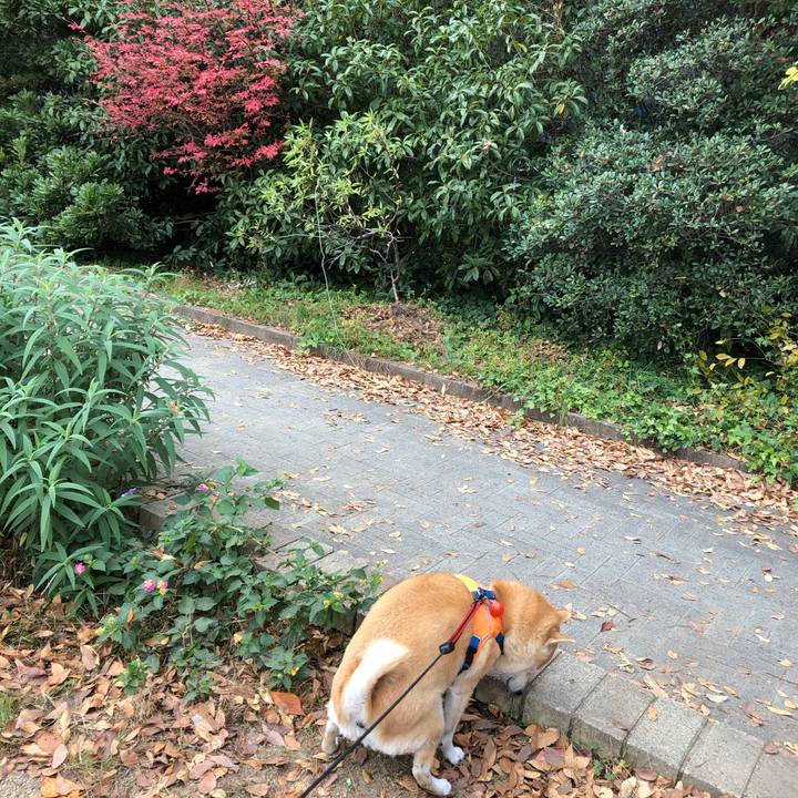 D0e01b65 22d6 4661 8239 b94e1eb0d875 1575079885974