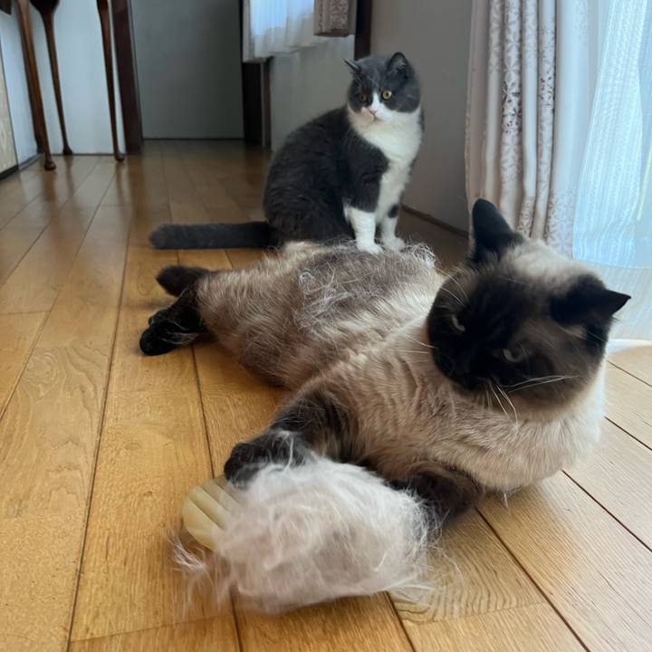 D0e03bfd 4d43 4f83 9b98 39eb9d6d4888 1656812827233