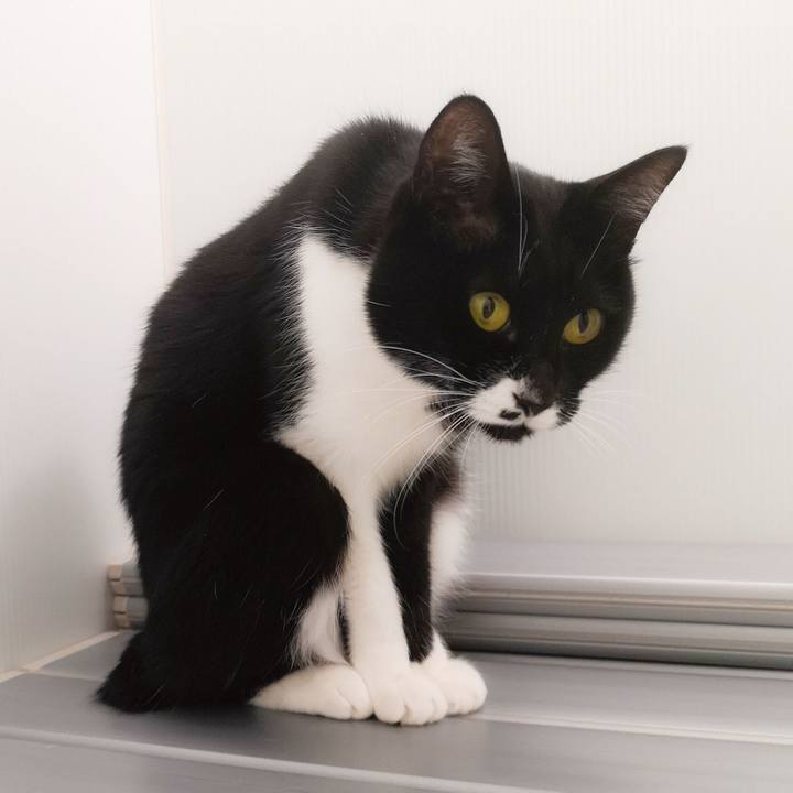 D0e07436 3973 4d4d 81fc e183186d4cd3 1551455666176