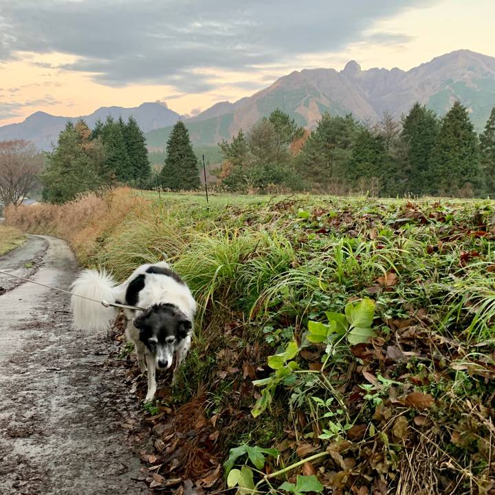 D0e088bd c9b1 4b93 8171 c7934f156536 1575209158658