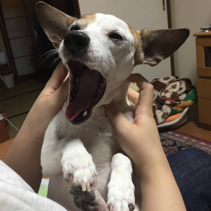 D0e08de2 2f4b 4e46 9168 8ef501730295 1525050812958