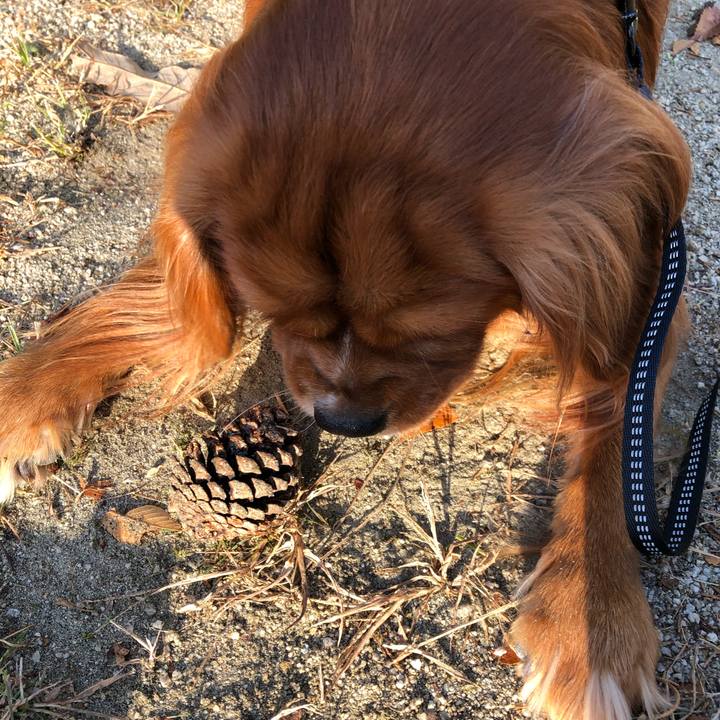 D0e0b04f b018 4d19 901c c22c7291f478 1573948631269