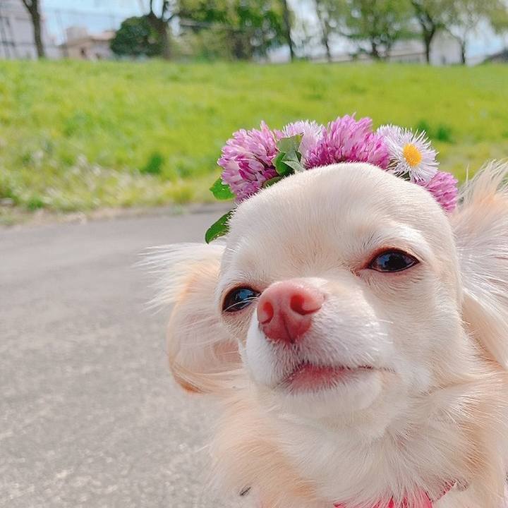 D0e0b4bb 9805 48a9 aa0e 58939a38cba9 1619506041871