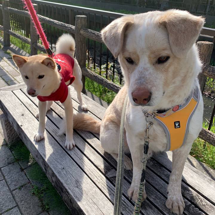 D0e0b6ae 3efe 4e9b 849a 6a9c5455fc3a 1555385942642