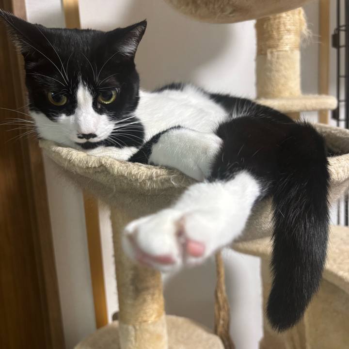 D0e10427 a1d6 4f4b a2f3 1a78e7721fb9 1766709474104