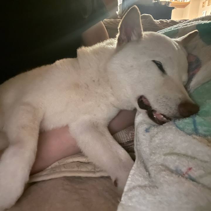 D0e11991 33aa 461a a1b0 db13c0b4861f 1655650306306