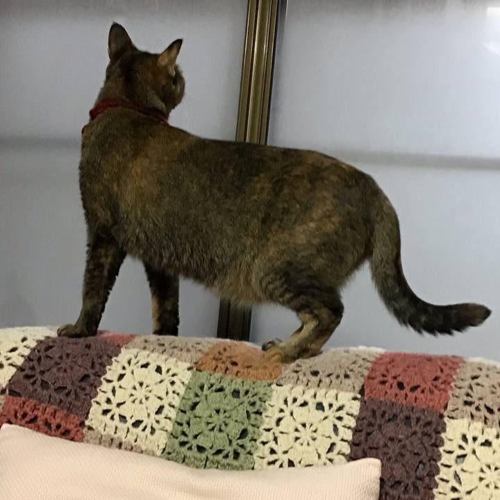 D0e13f0c ea75 46a2 8a80 e22f995bdd68 1602197304746