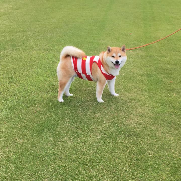 D0e18cde b46f 4218 81b9 f5356ad89576 1559977721333