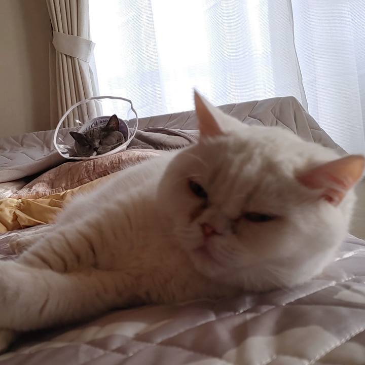 D0e1a0ad ea0c 4c9f 9222 449fc19681a8 1630825742269