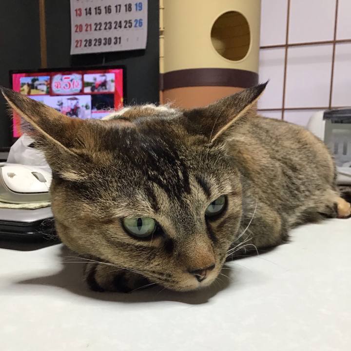 D0e1acdc c0a0 4d3d b95a e1d47f6c1a58 1647903401703